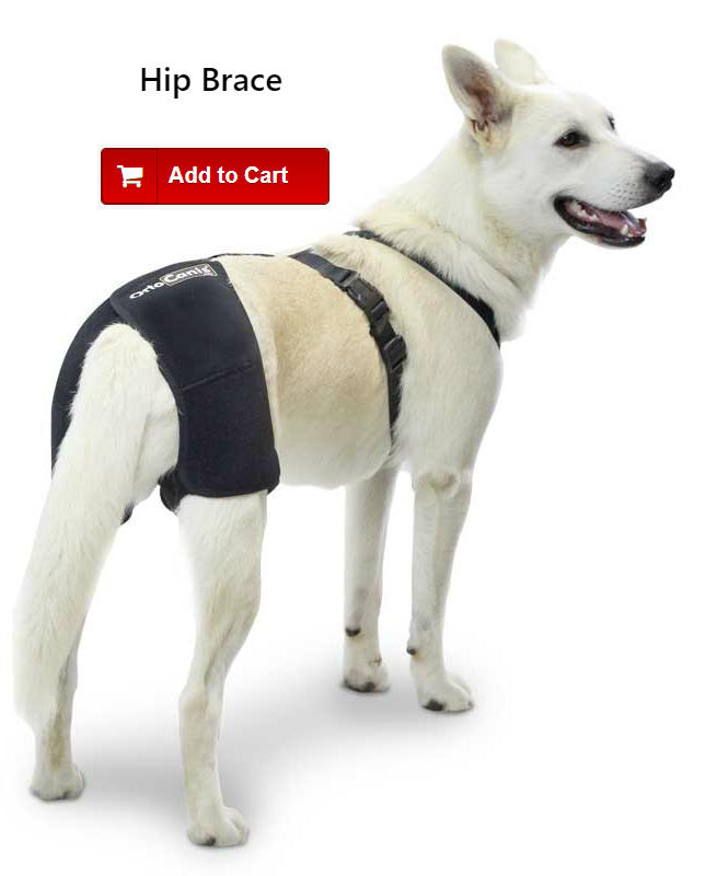 Dog support clearance for back legs